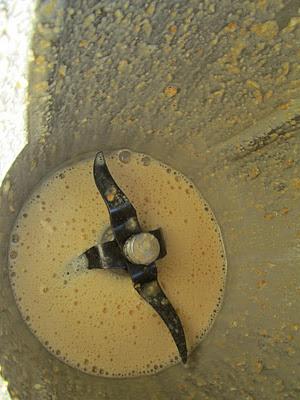 MEDALLONES DE SOLOMILLOS CON ALIOLI DE ALMENDRAS