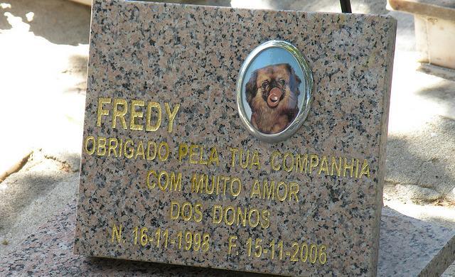 cementerio mascotas, cementerios de mascotas, japoneses, fail japón