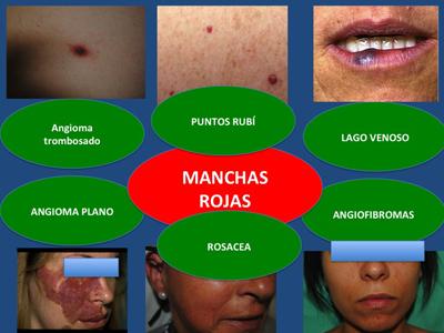 estetico en consultaclick