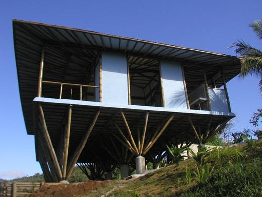 El bambú: protagonista de la arquitectura sostenible