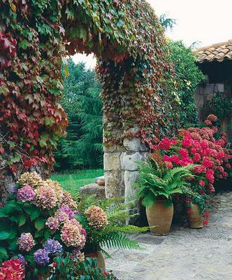 JARDIN RUSTICO