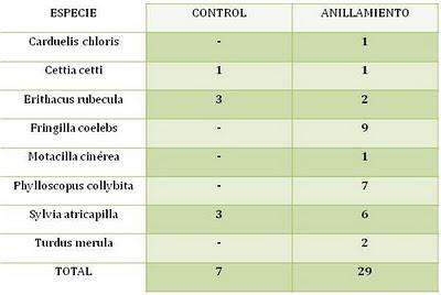 Nueva jornada de Anillamiento científico en el Parque del Alamillo  --  30/11/11
