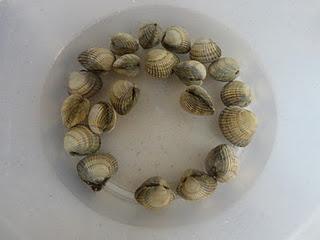 Almejas a la marinera