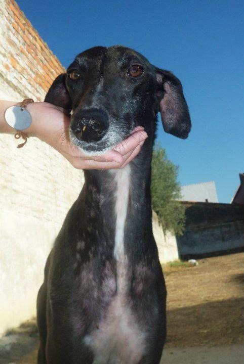 Dos tristes noticias