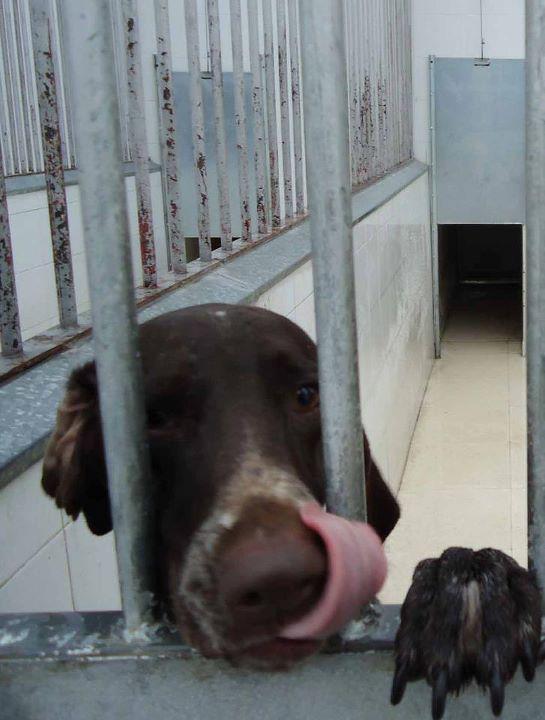 Dos tristes noticias