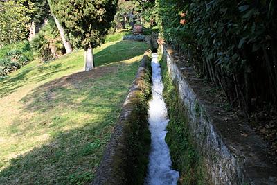 LA VIVIFICANTE SONORIDAD DEL AGUA