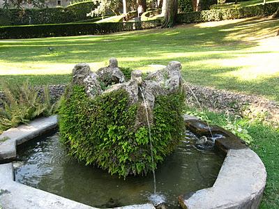 LA VIVIFICANTE SONORIDAD DEL AGUA