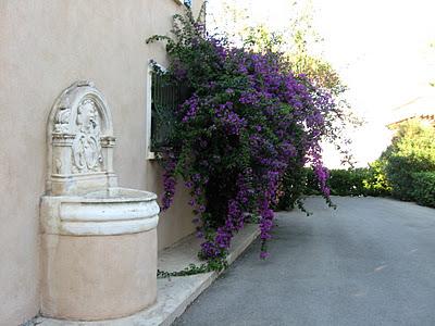 LA VIVIFICANTE SONORIDAD DEL AGUA