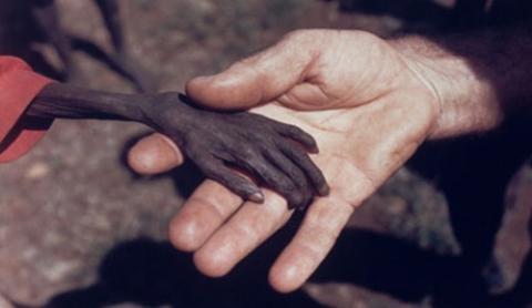 148.- Solución contra el hambre