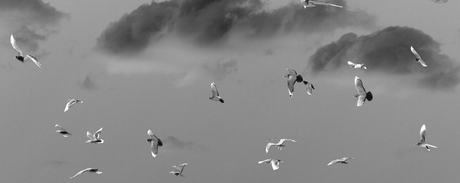 El resumen del domingo: ¿fútbol o blogs?