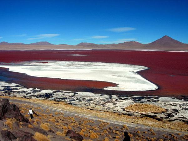 altiplano-boliviano-7