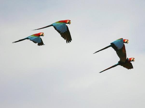 altiplano-boliviano-9