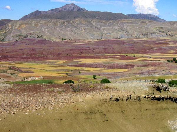 altiplano-boliviano-6