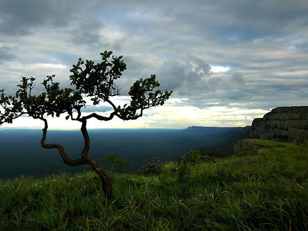 altiplano-boliviano-11