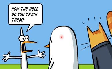 gatos guardaespalas 04 El Telesketch (59)