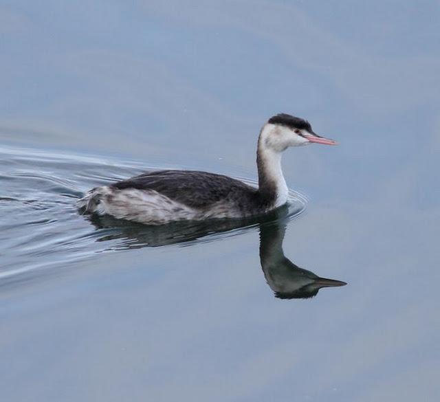 DEL PUERTO DE HONDARRIBIA A TXINGUDI  VAYA DIA