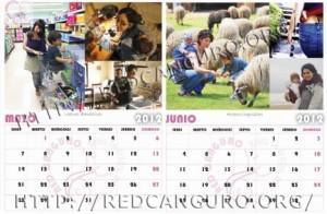 calendario red canguro