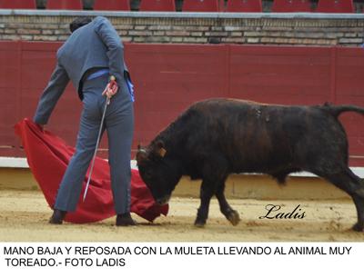 CÓRDOBA: TARDE APOTEÓSICA EN LOS CALIFAS