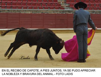 CÓRDOBA: TARDE APOTEÓSICA EN LOS CALIFAS