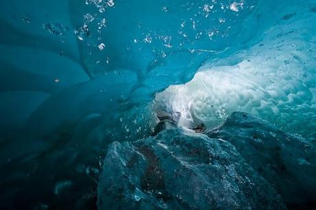 Enlaces de la semana (49/11)