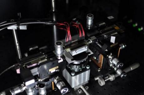 Desarrollan el Primer Microchip Fotónico Cuántico Programable | ALT1040