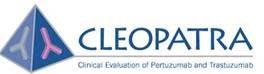 LOS ONCÓLOGOS ESPAÑOLES COINCIDEN EN DESTACAR EL POTENCIAL DE COMBINAR ANTICUERPOS EN CÁNCER DE MAMA HER2 POSITIVO METASTASICO