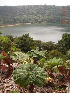 APERITIVO DE FRIJOLES MOLIDOS  Y EL VOLCÁN POÁS.