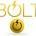 bolt_logo2