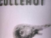 Vino blanco cullerot 2010