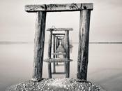 viejo sabio invitado donde rico comerciante