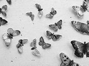 Energía Masculina Femenina