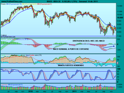 Los bajistas tienen ahora el poder ¿Hasta donde?