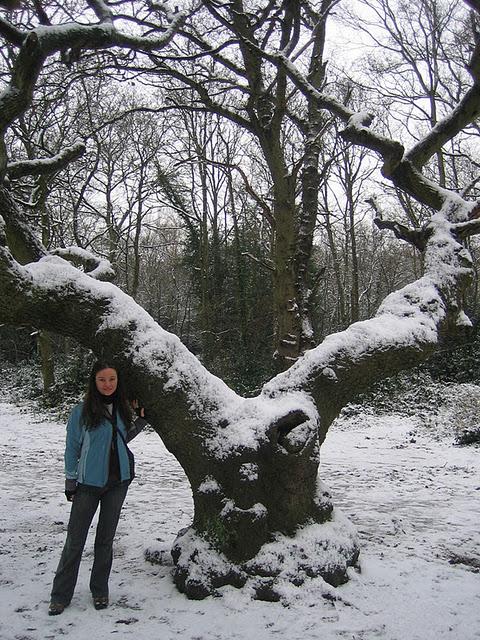 CAMINANDO BAJO LA NIEVE EN RICHMOND PARK