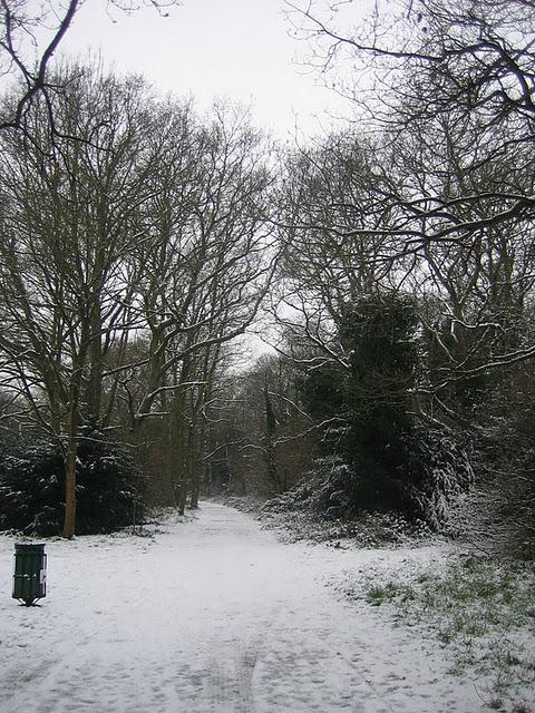 CAMINANDO BAJO LA NIEVE EN RICHMOND PARK