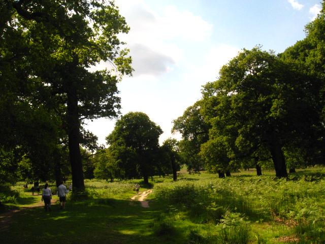 CAMINANDO BAJO LA NIEVE EN RICHMOND PARK