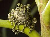 Relatando entre sonrisas-40 (Kanet otra vez)