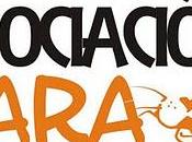 Mercadillo madrid asociacion lara‏.