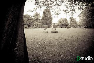 los jardines del museo evaristo valle de gijón [D | photography]
