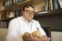 Manuel Sarasa: avances contra el Alzheimer