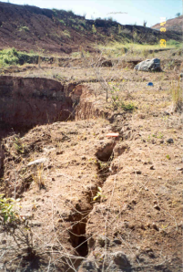 Riesgos geológicos – las lecciones del deslizamiento de Mameyes