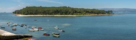 La sombra de la rosa (Ángela Banzas)