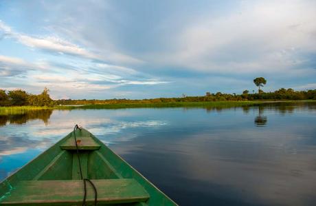 Rio-Amazonas-Tesoro-Biosfera Blog Elche Se Mueve