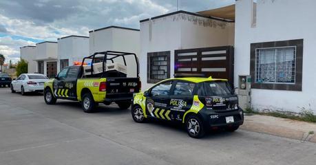 Grave Envenenamiento de Perros Comunitarios en Fraccionamiento Los Lago