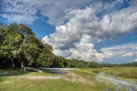 15 mejores cosas que hacer en Inverness (FL) 15 mejores cosas que hacer en Inverness (FL)