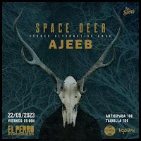 Concierto de Space Deer y Ajeeb en El perro de la parte de atrás del coche
