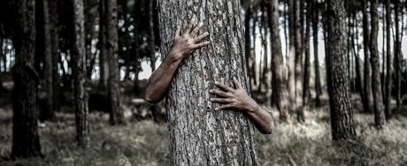 ¿Cómo observar animales en su hábitat? ¿Cómo observar animales en su hábitat?