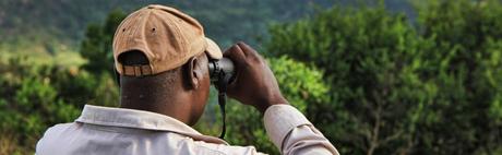 ¿Cómo observar animales en su hábitat? ¿Cómo observar animales en su hábitat?