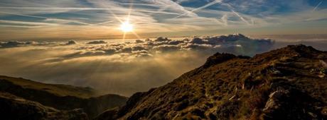 ¿Cómo observar animales en su hábitat? ¿Cómo observar animales en su hábitat?