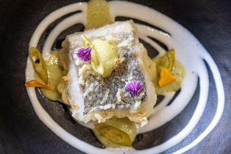 Showcooking de Merluza de Burela