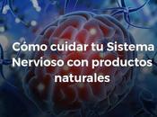 Cómo cuidar Sistema Nervioso productos naturales